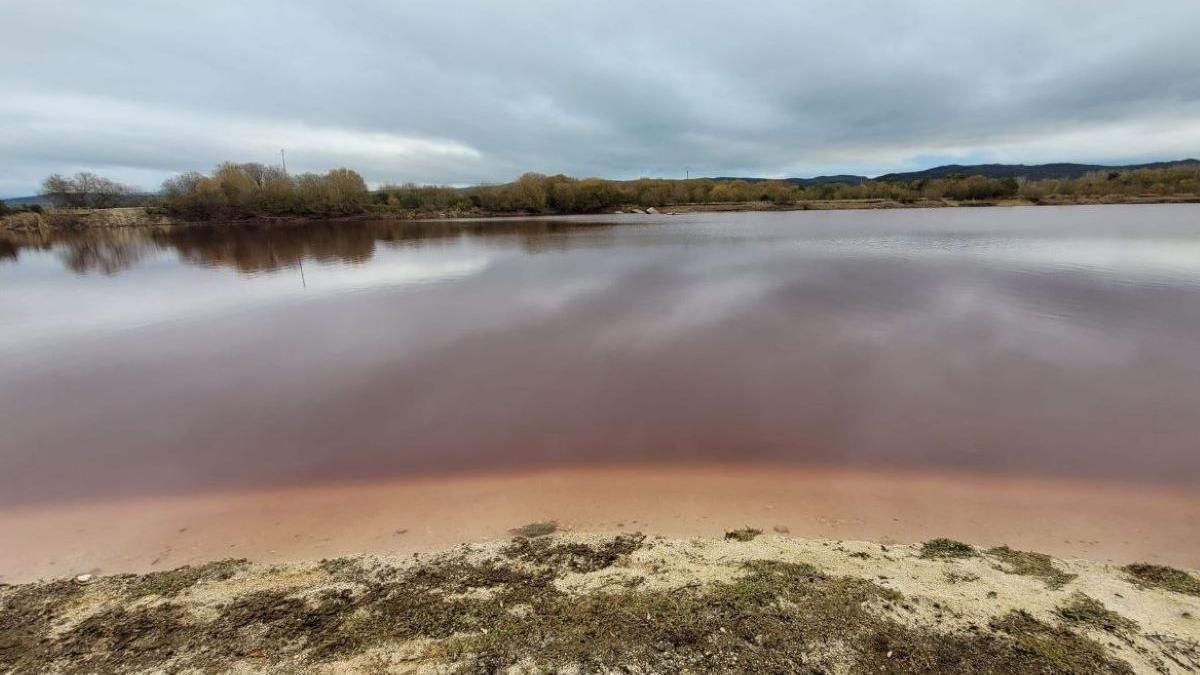 Estado de la laguna de Antela en Sarreaus, hace sólo unos días.