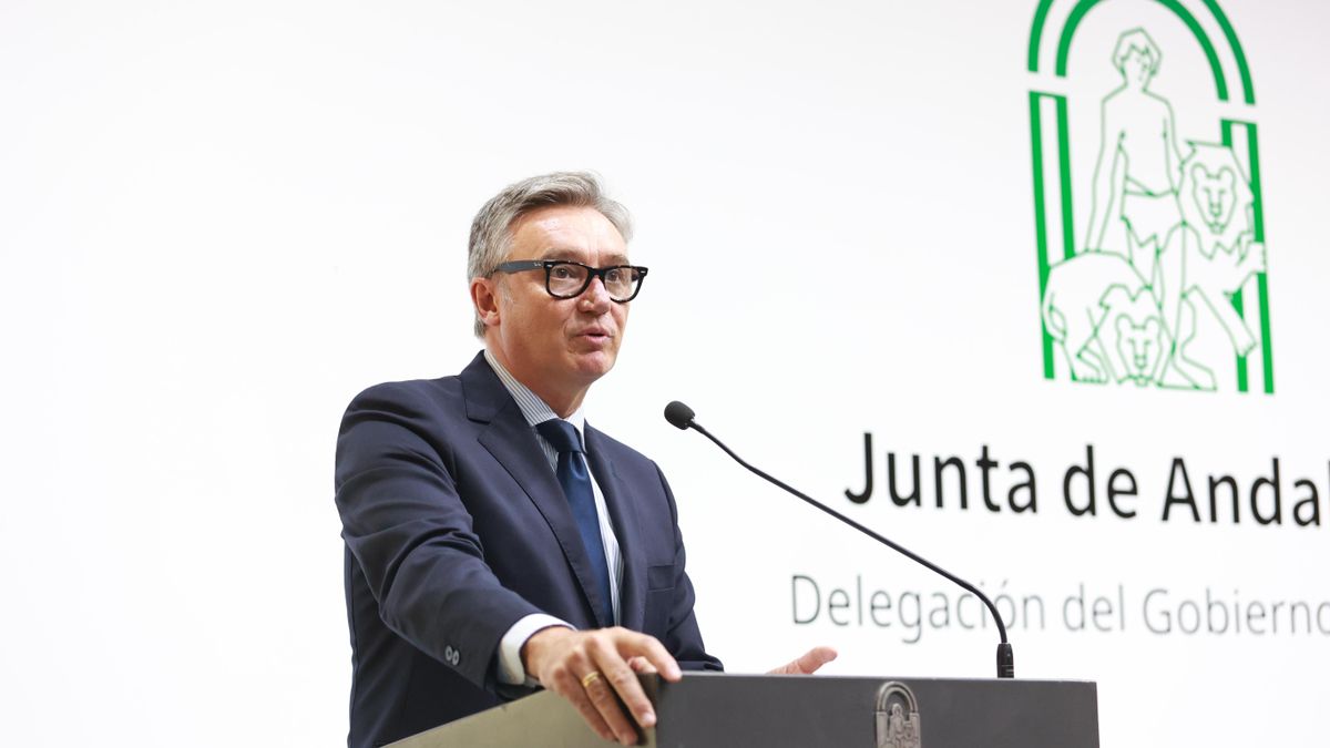 El vicepresidente segundo y consejero de Turismo, Justicia, Desregulación y Administración Local de la Junta de Andalucía, Manuel Gavira.