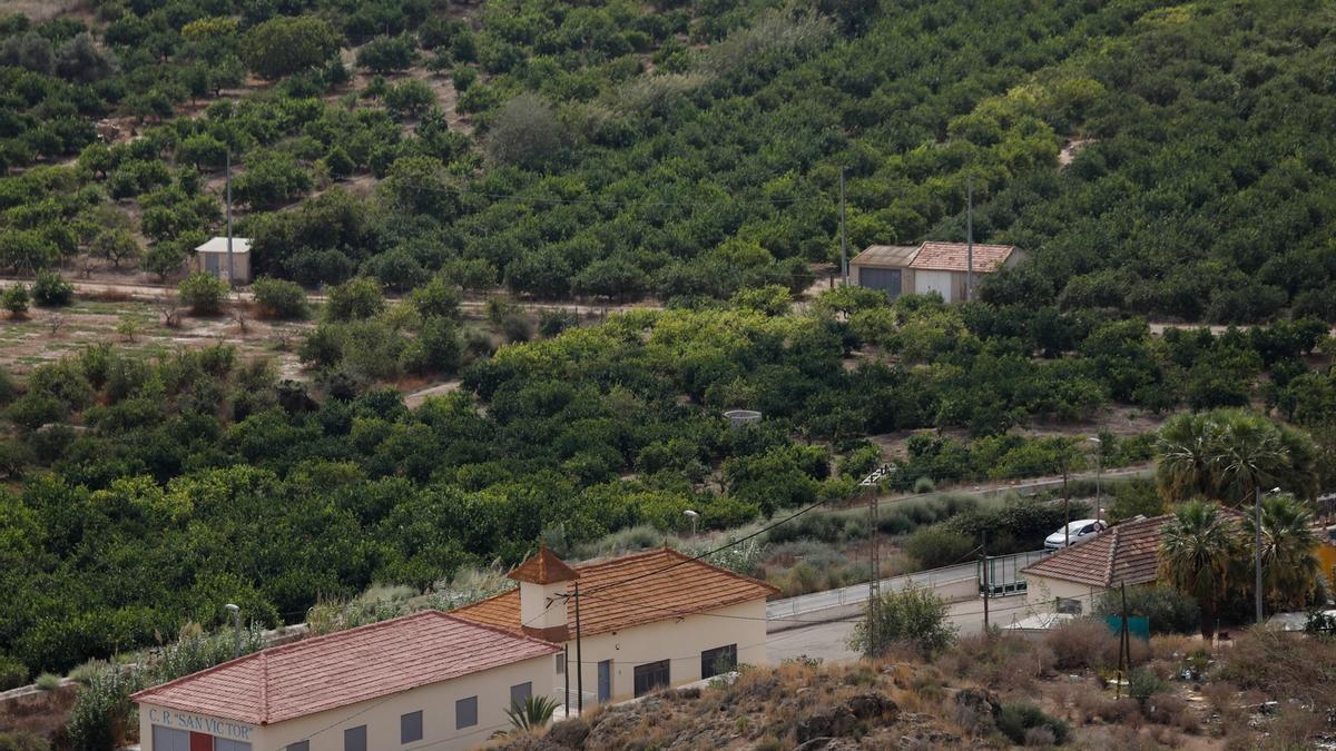 Vista aérea de una huerta en la comarca de la Huerta de Murcia, a 24 de septiembre de 2021, en el municipio de Santomera.