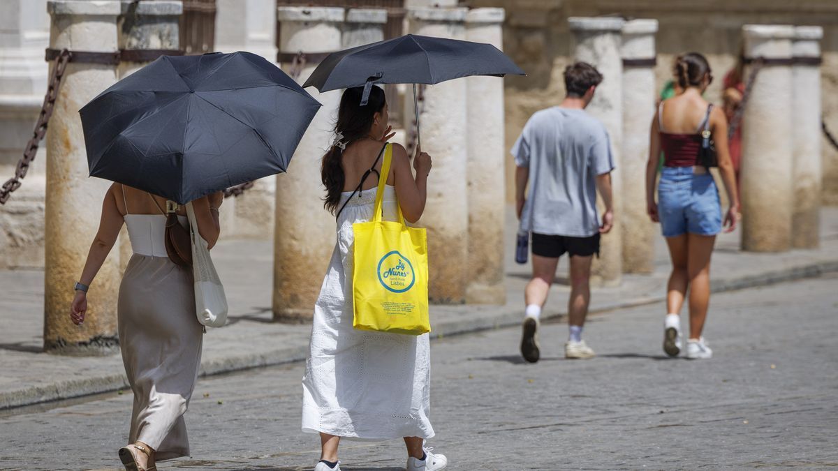 Caminar 7.000 pasos al día reduce el riesgo de enfermedades crónicas, deterioro cognitivo y muerte