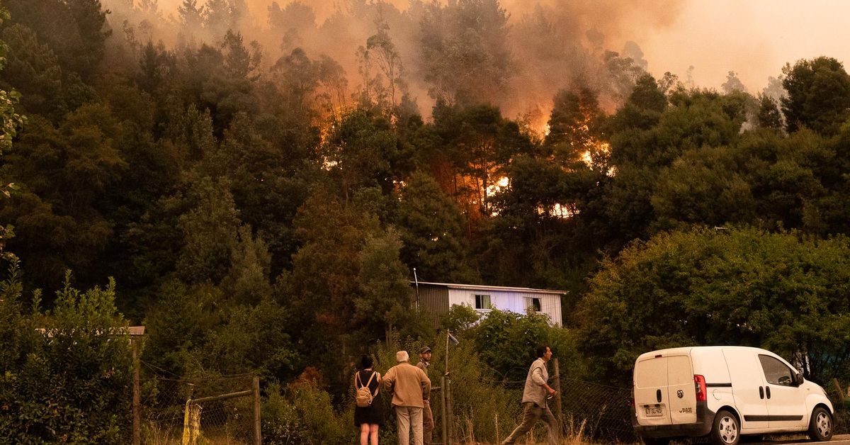 Una ola de incendios forestales en el sur de Chile deja al menos 16 muertos