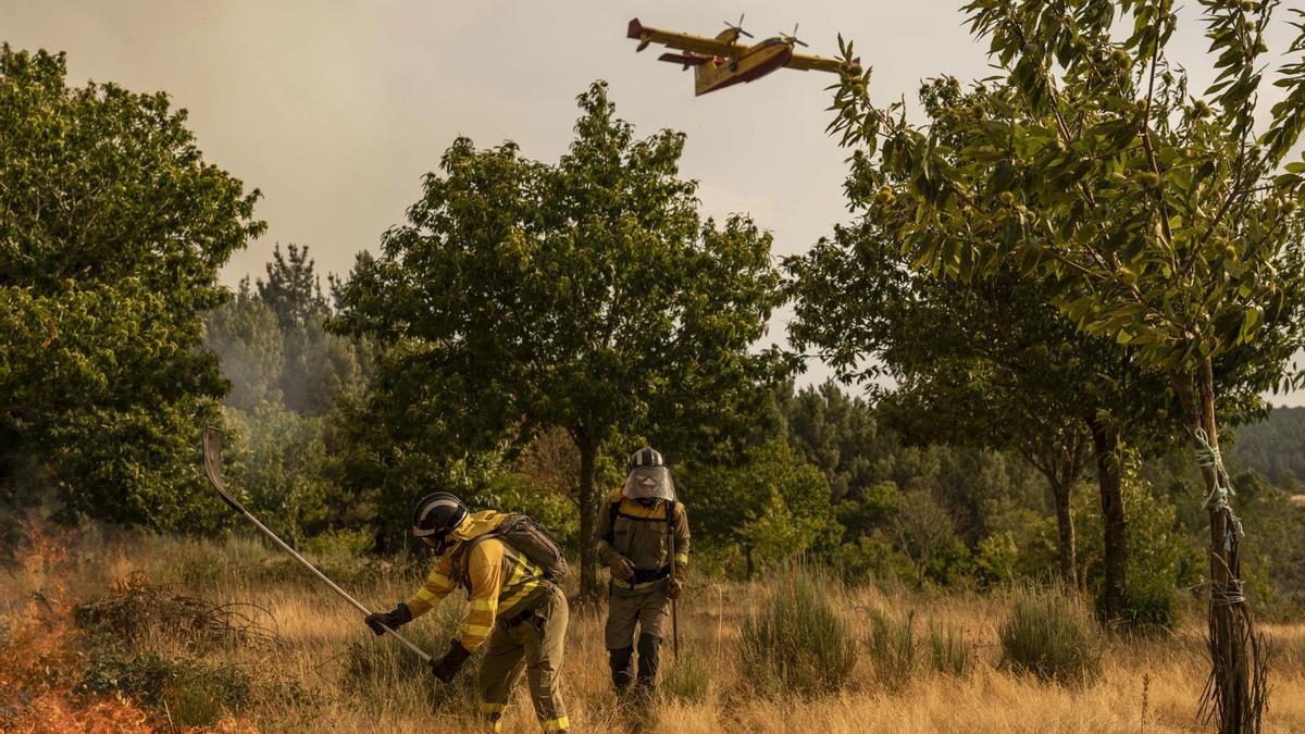 PP y Vox fragmentan Medio Ambiente en Castilla y León y comp