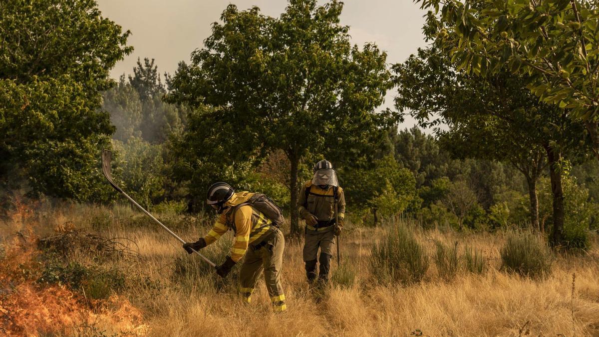 Bomberos forestales realizan labores de extinción en el nuevo incendio declarado este miércoles en A Gudiña (Ourense).