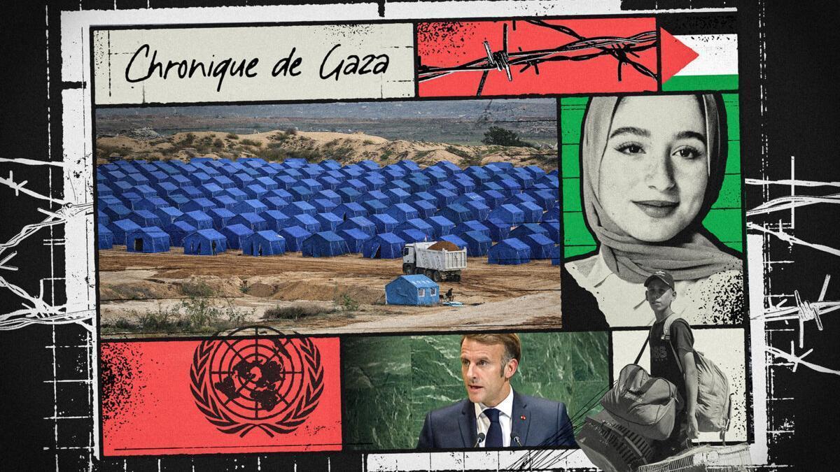 Fotomontaje con la fotografía de la periodista palestina evacuada en París.