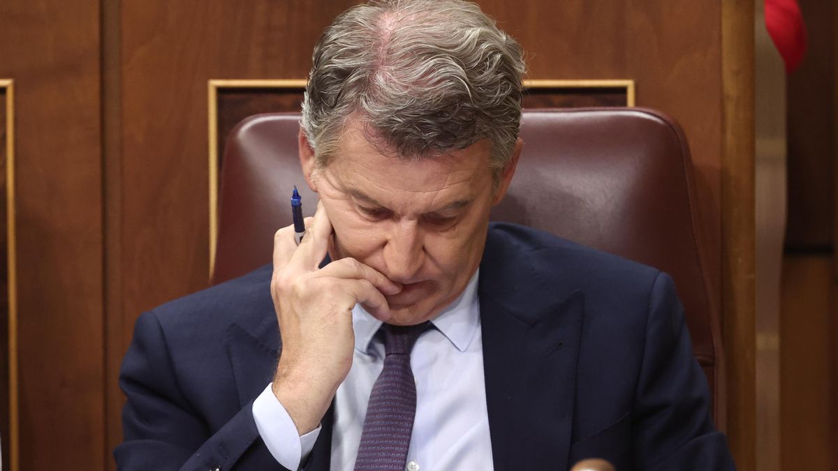 El presidente del Partido Popular, Alberto Núñez Feijóo, durante una sesión plenaria en el Congreso de los Diputados.
