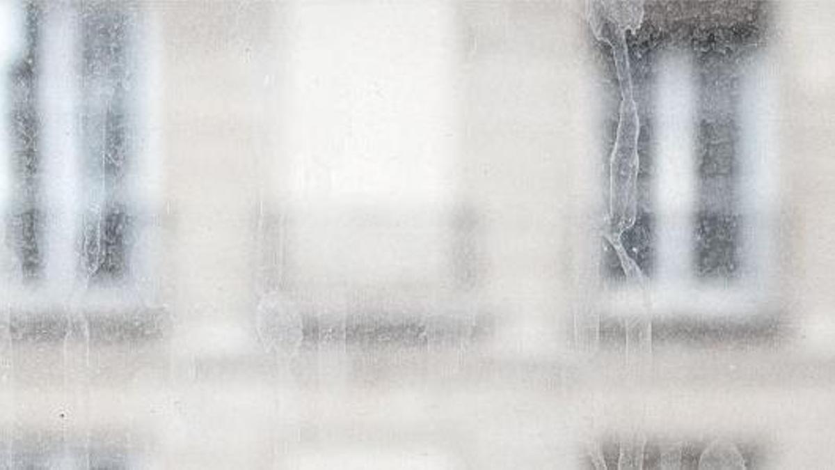 Presencias nominales