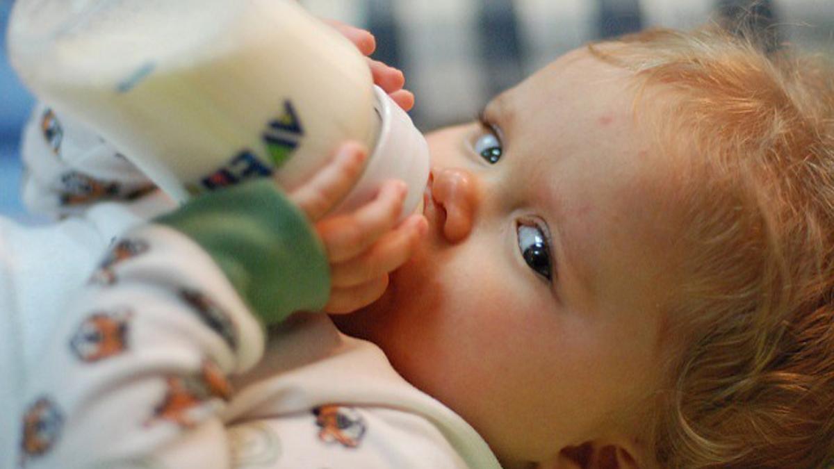 Alerta global por la presencia de la toxina cereulida en leche de fórmula infantil