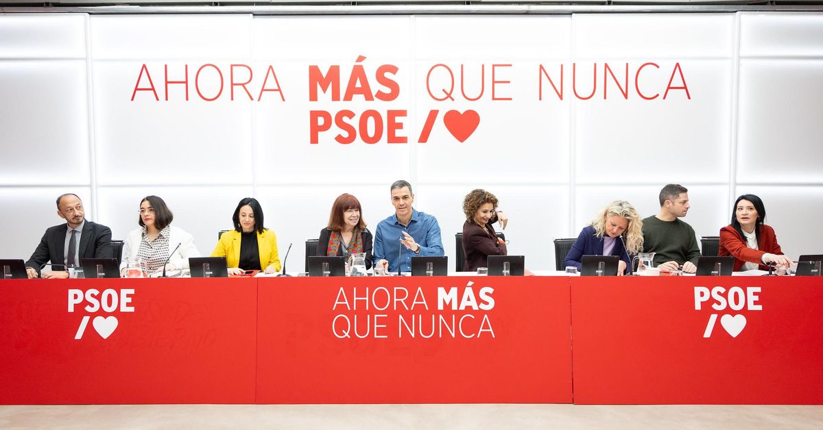 El PSOE apoya de manera "incondicional" a Alegría y acusa a Feijóo de ...