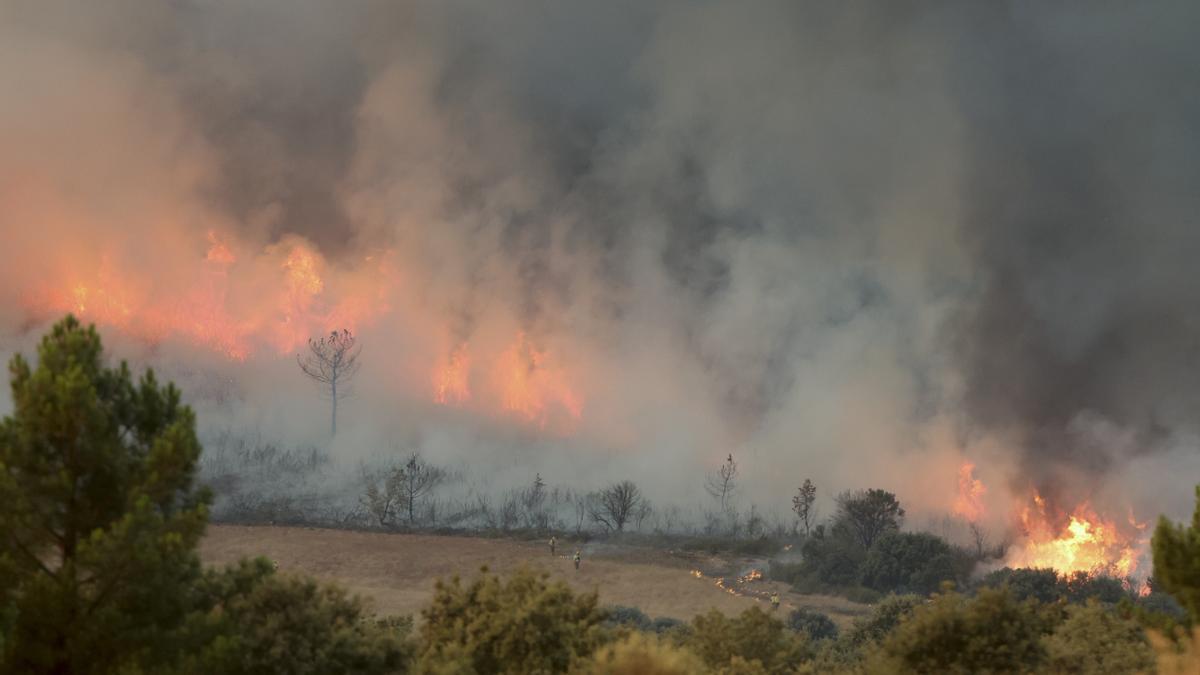Llamas del incendio de Monsagro.