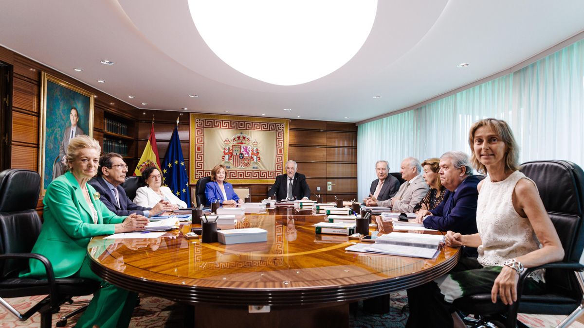 El voto particular contra el silencio del TC en la 'ley de nietos': "Es un caso de los que marcan la historia"