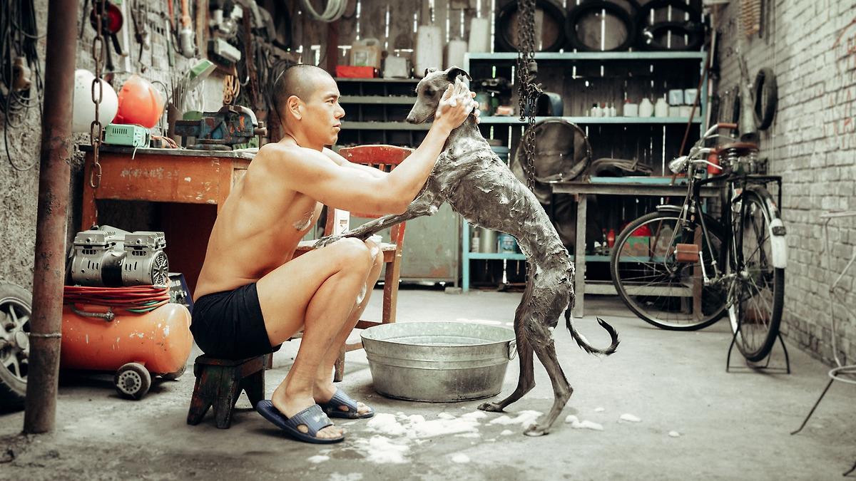 ‘Black Dog’ es una evocadora reflexión sobre los traumas históricos de China