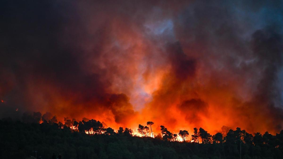 Las llamas arrasan una zona boscosa durante un incendio forestal en Saint-Laurent-de-la-Cabrerisse en Francia.