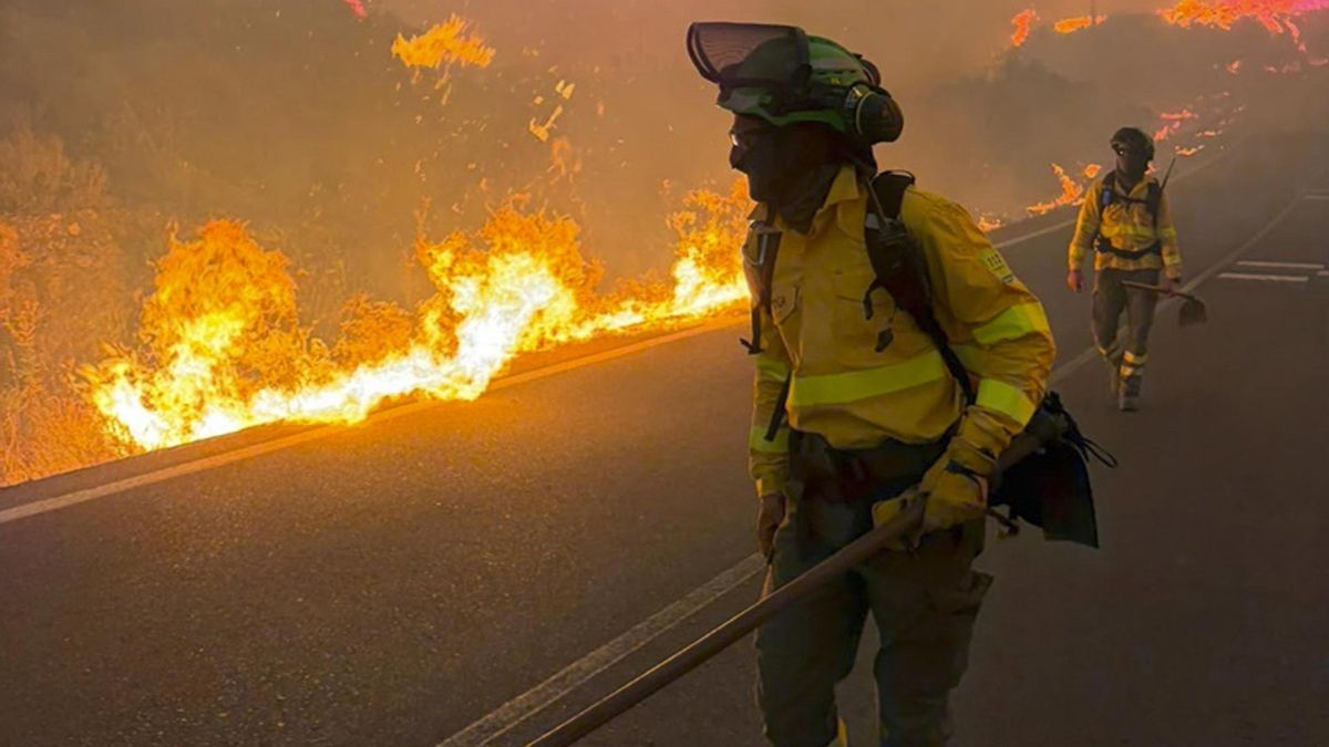 os bomberos trabajan en la extinción del incendio en Los Gallardos, Almería