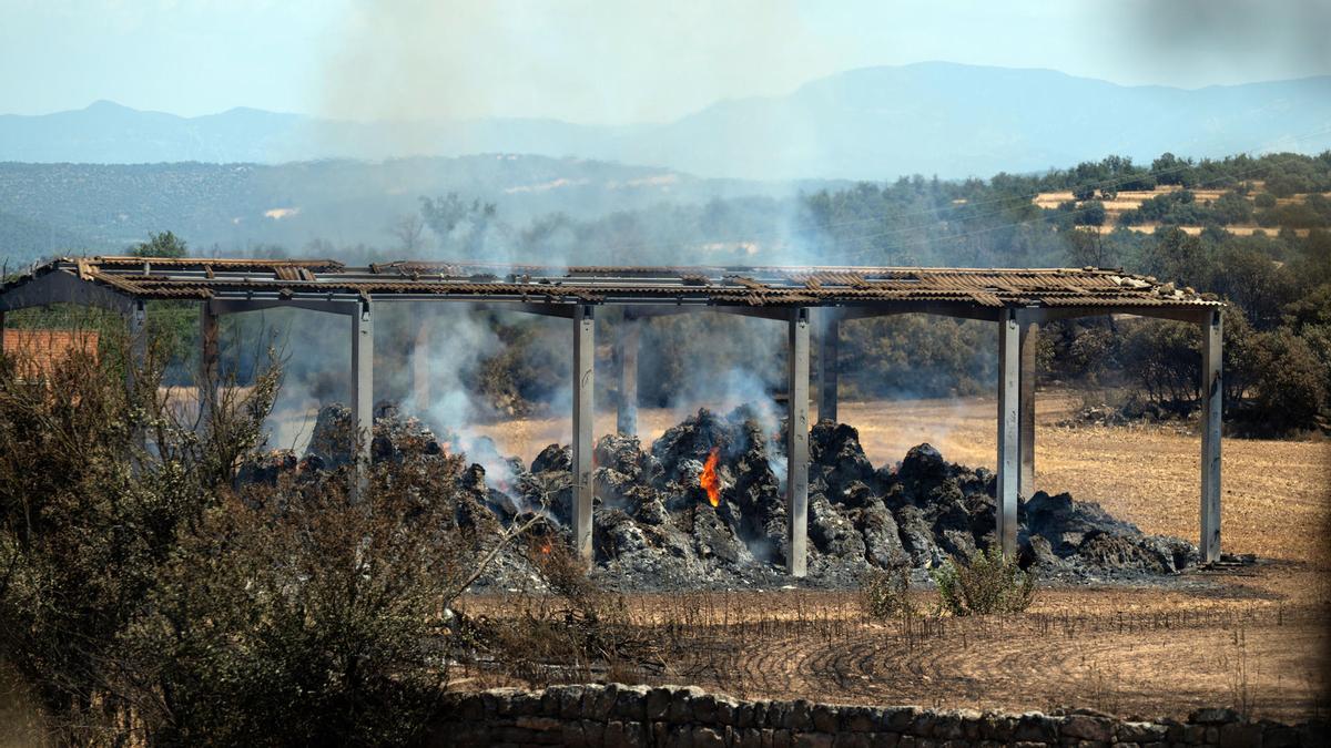 Vista de una de las zonas quemadas por el incendio de Lleida.