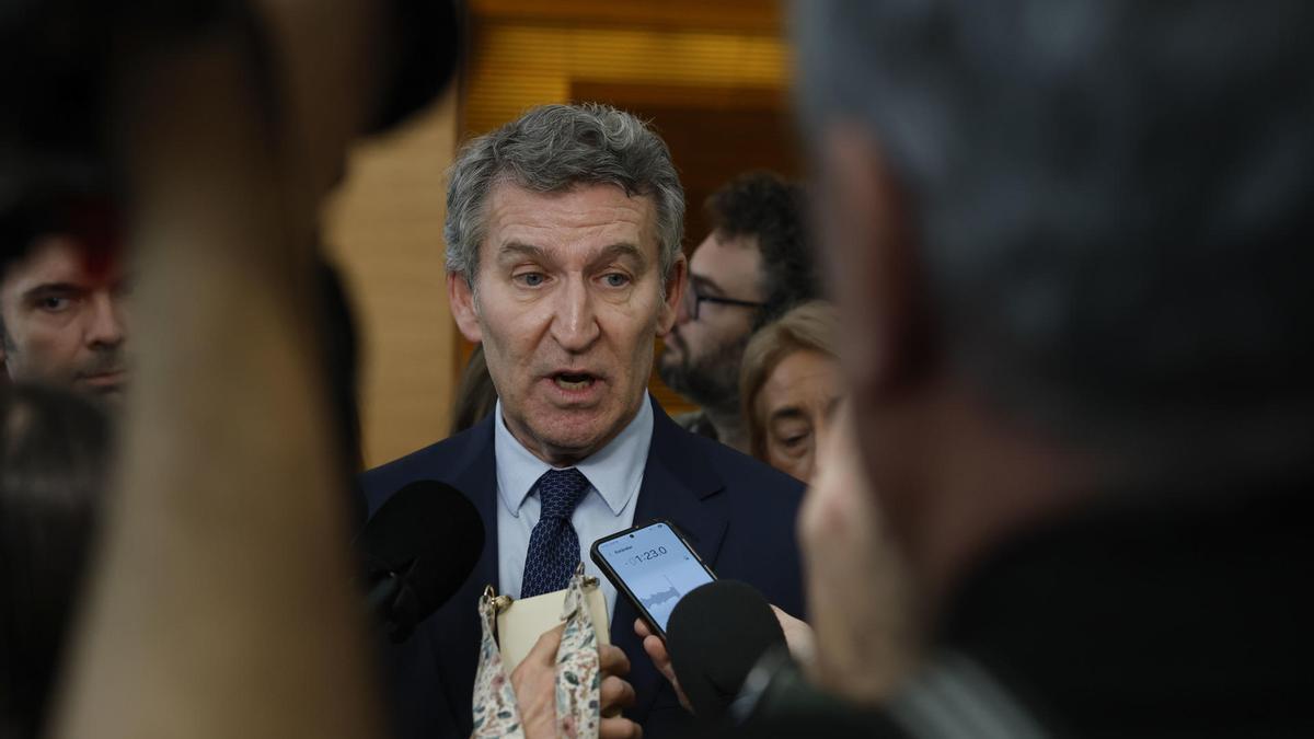 El líder del PP, Alberto Núñez Feijóo, comparece ante la comisión del Congreso que investiga la gestión de la dana de 2024.