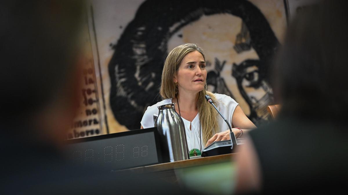 Aagesen afirma que el Gobierno ha hecho un despliegue 