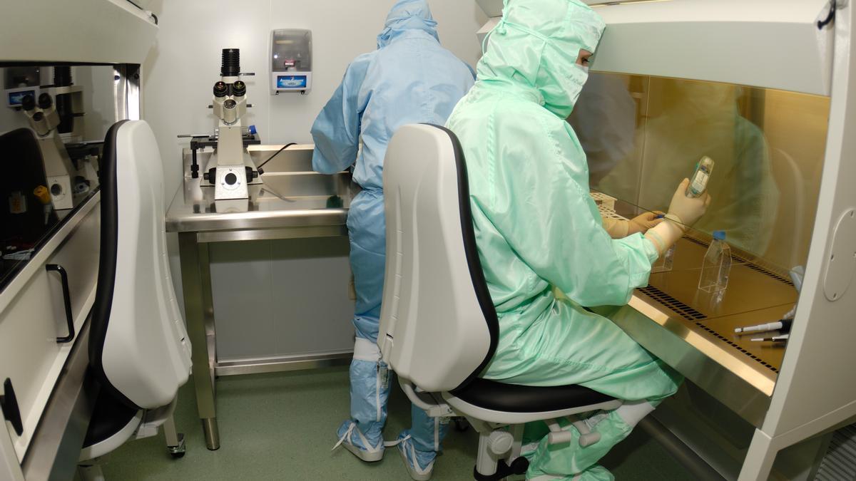 Científicos investigando.