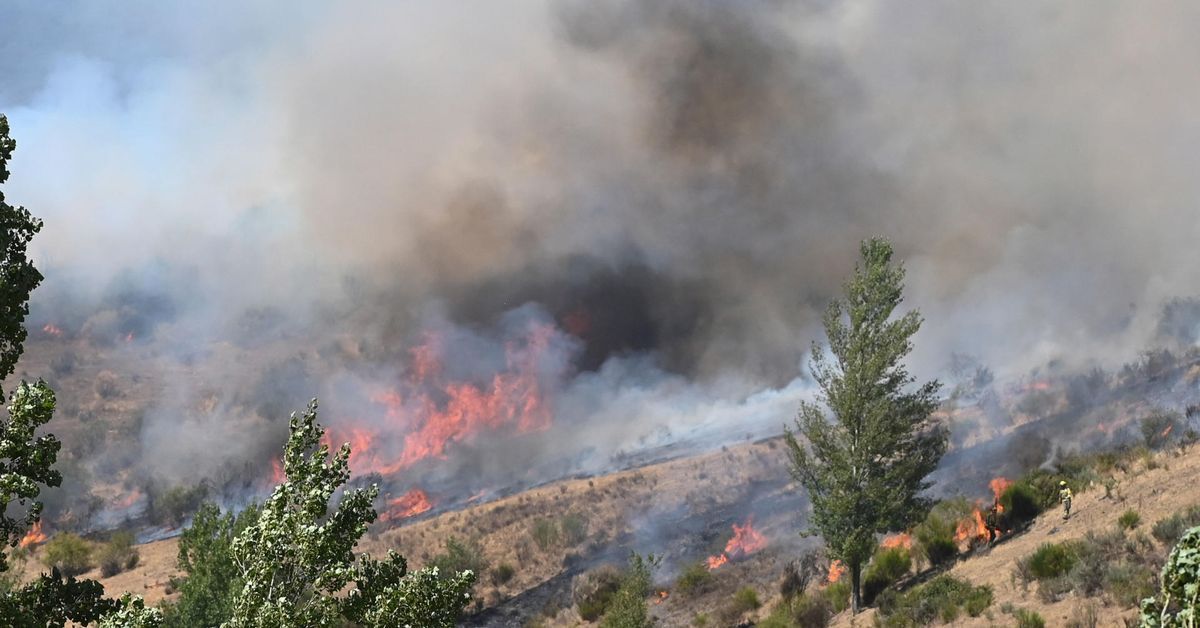 Castilla y León mantiene 16 incendios activos, 10 de gravedad y 4 declarados este jueves