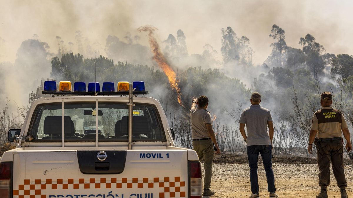 Incendio de Niebla junto al embalse del Corumbel Bajo en La Palma del Condado, Huelva, este miércoles.