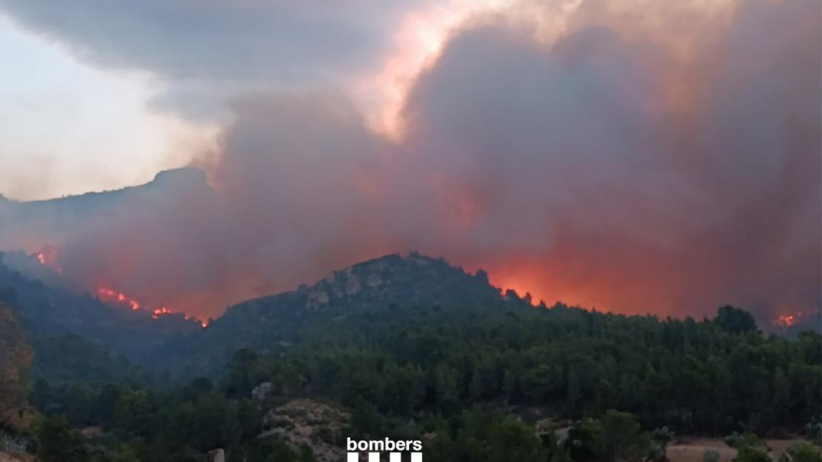 La parte más activa del incendio forestal de Tarragona es la zona superior del flanco derecho, entre Paüls y Alfara de Carles.