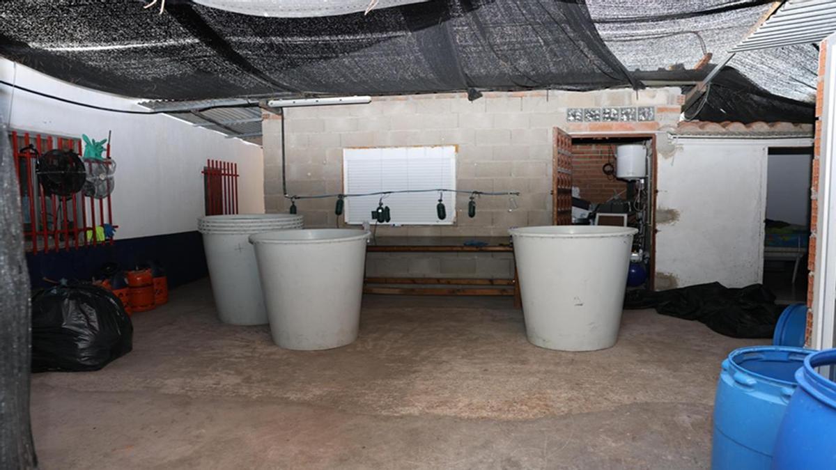 Interior de la estructura