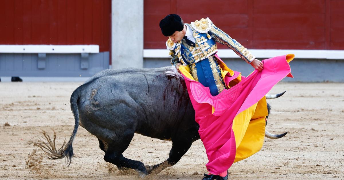Podemos y Sumar cargan contra el PSOE por su abstención en la derogación de la protección de los toros