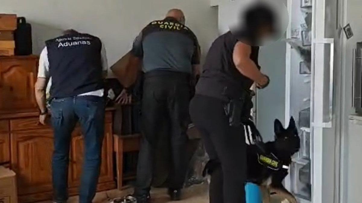 Cae 'El Santo' del cannabis en una macrorredada por toda la isla de Tenerife