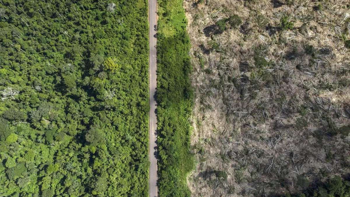 Tierra deforestada en Amazonia, en una imagen de archivo.