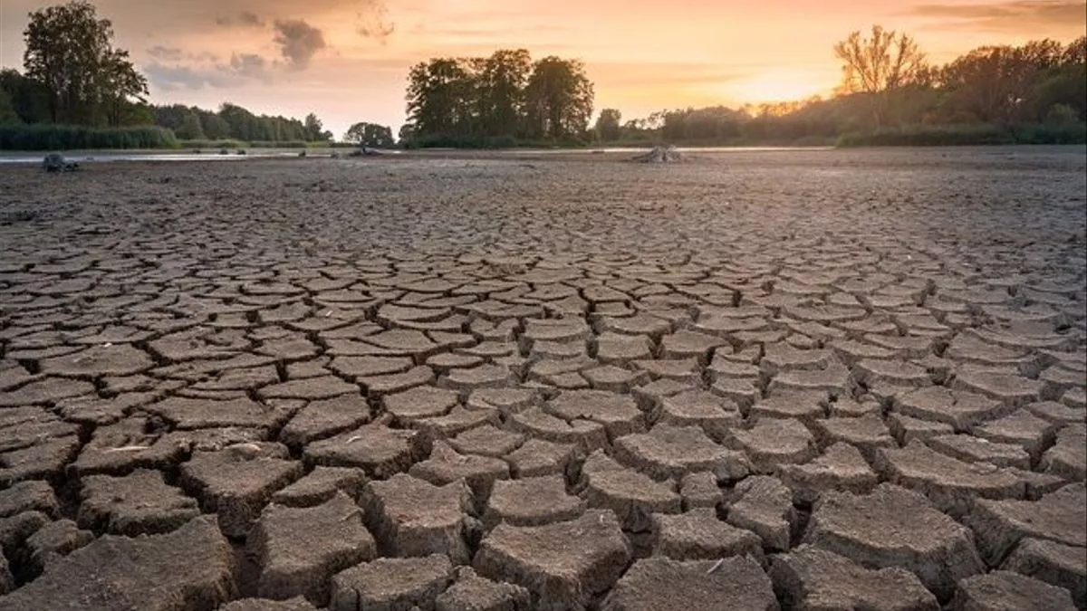 Terreno devastado por la sequía en el sur de España.