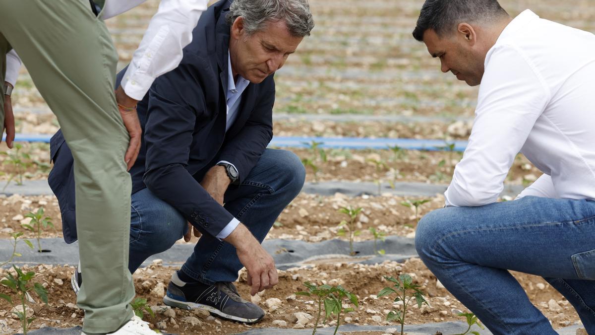 La Conferencia de Presidentes o cómo convertir en arma contra el Gobierno un instrumento para tender puentes