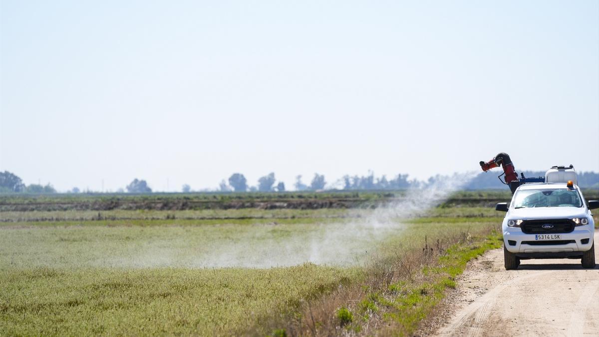 Andalucía llega mejor preparada a la nueva temporada de virus del Nilo tras un 2024 fatídico