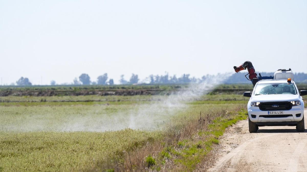 maniobras de fumigación durante la Activación del protocolo de prevención y control del Virus del Nilo en la Puebla del Río, a 28 de marzo de 2025 en Sevilla.