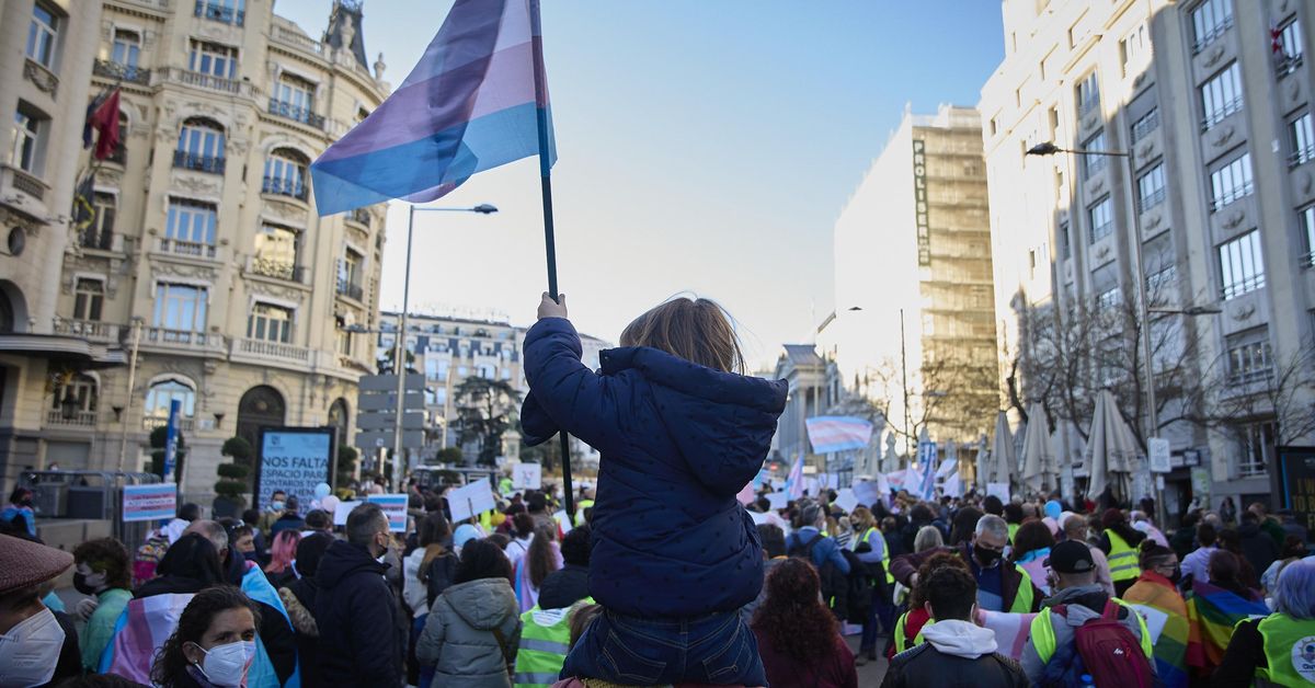 El fallo del TC que esgrime UP para no tocar la ley trans: los menores ...