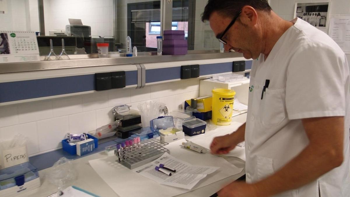 Donación de médula ósea.