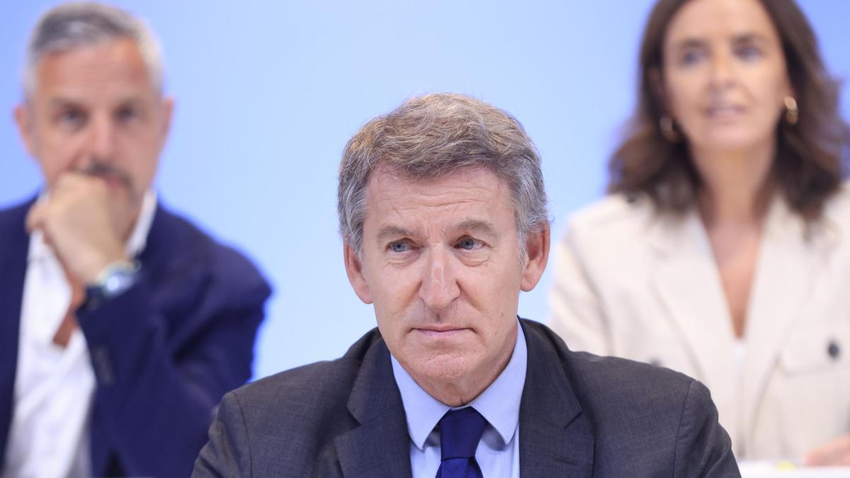 El líder del PP, Alberto Núñez Feijóo durante la reunión del Comité Ejecutivo Nacional del PP
