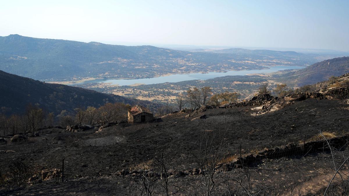 Nueva jornada de lucha contra el fuego en España: más desalojos y focos aún preocupantes