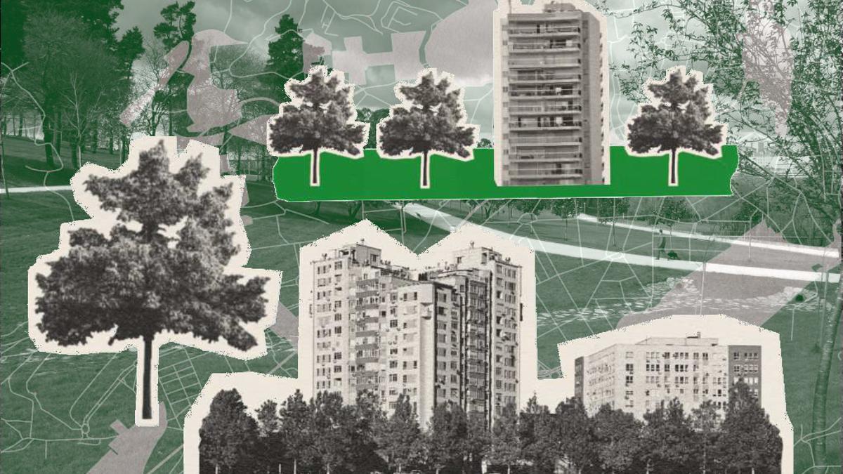 Algunas imágenes del informe publicado por Amigas da Terra sobre una fotografía del Parque Eugenio Granell de Compostela.