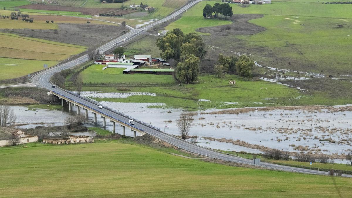 Desbordamiento del Guadiana a su paso por el entorno del Parque Arqueológico de Alarcos en Ciudad Real, el 7 de febrero.