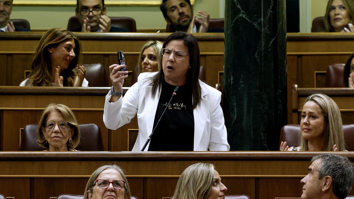 Las sanciones a las que se enfrenta Ana Vázquez por llevar al Congreso gas pimienta
