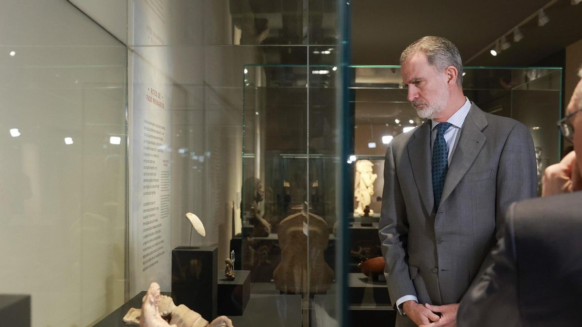 El rey Felipe VI, en el Museo Arqueológico Nacional, en una foto de Archivo.