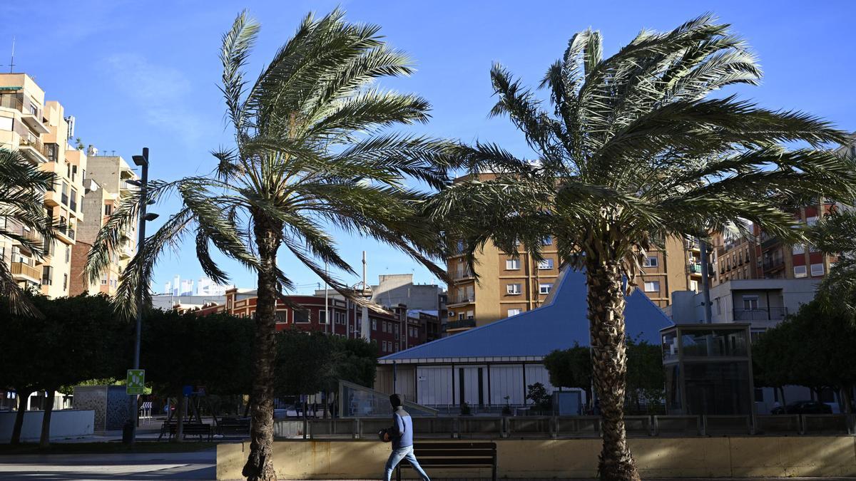 Los avisos de la Aemet se amplían a todas las comunidades; Castellón en 'rojo' por viento