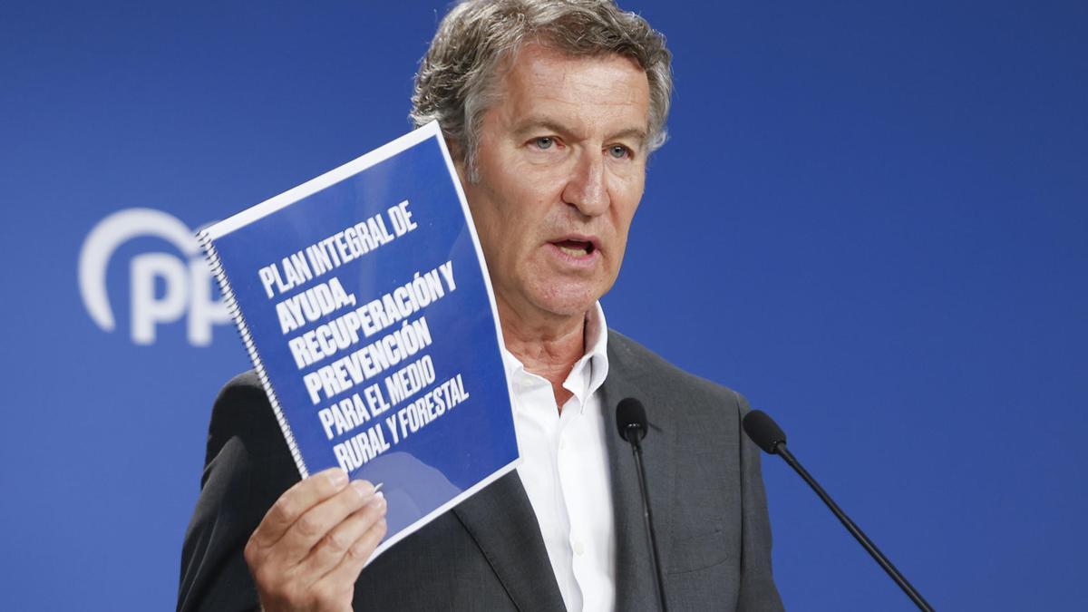 El líder del PP, Alberto Núñez Feijóo comparece tras la reunión del Comité de Dirección del PP celebrada este lunes en la sede de la calle Génova.