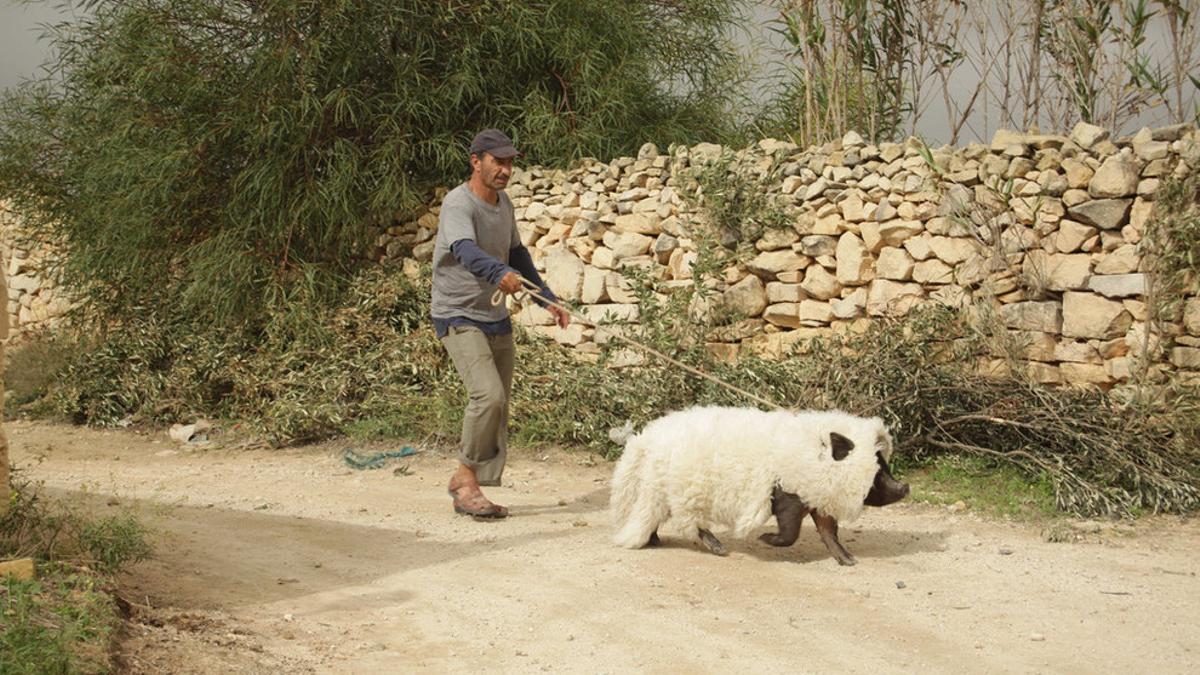 Un fotograma de 'Un cerdo en Gaza'.
