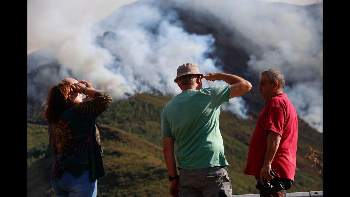 El fuego amenaza el Teixadal de Casaio (Ourense), el bosque más antiguo de Galicia
