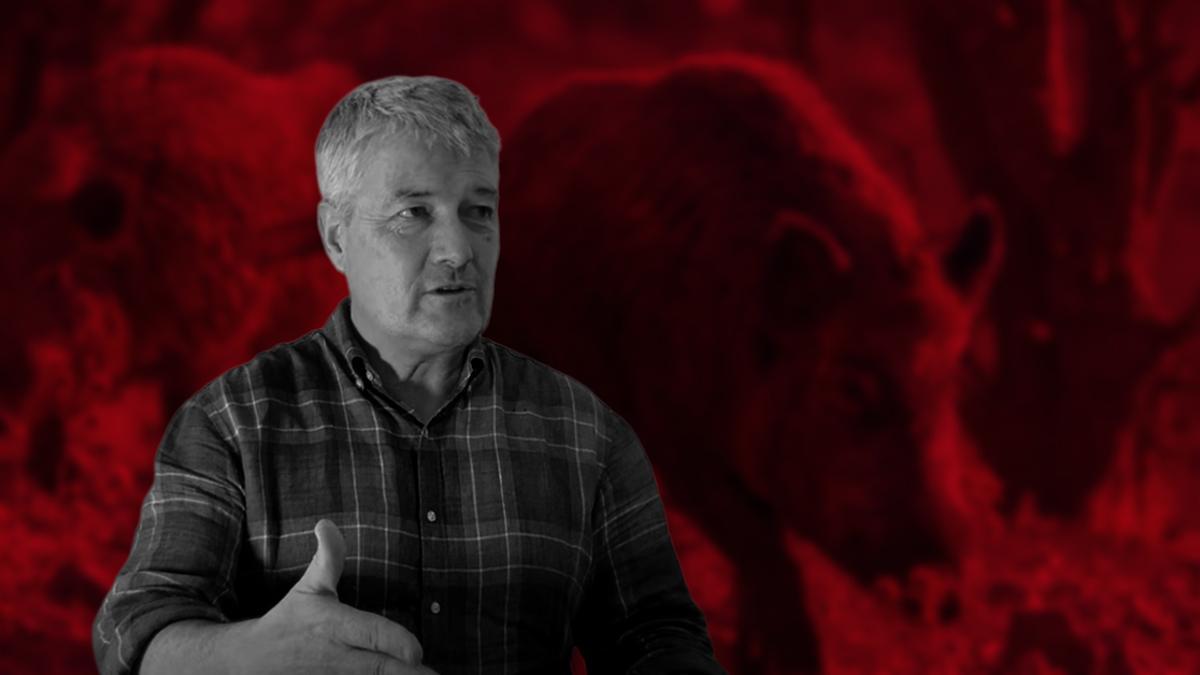 Christian Gortázar, experto en peste porcina: 