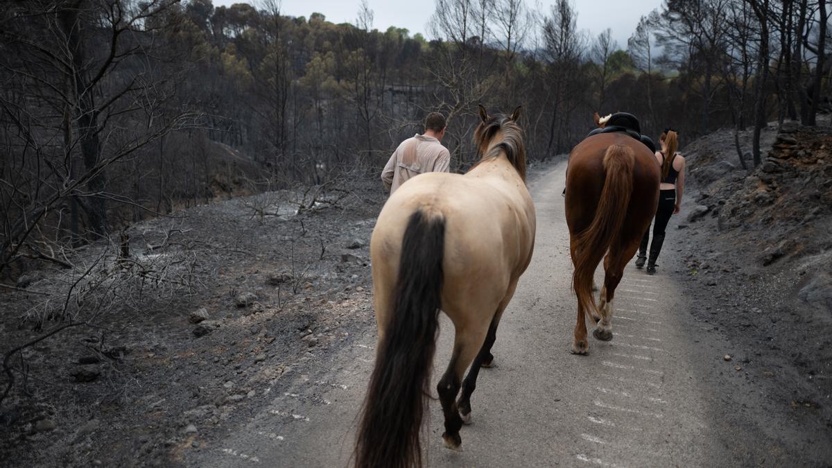 Los bomberos confían en poder controlar este jueves por la tarde el incendio de Paüls