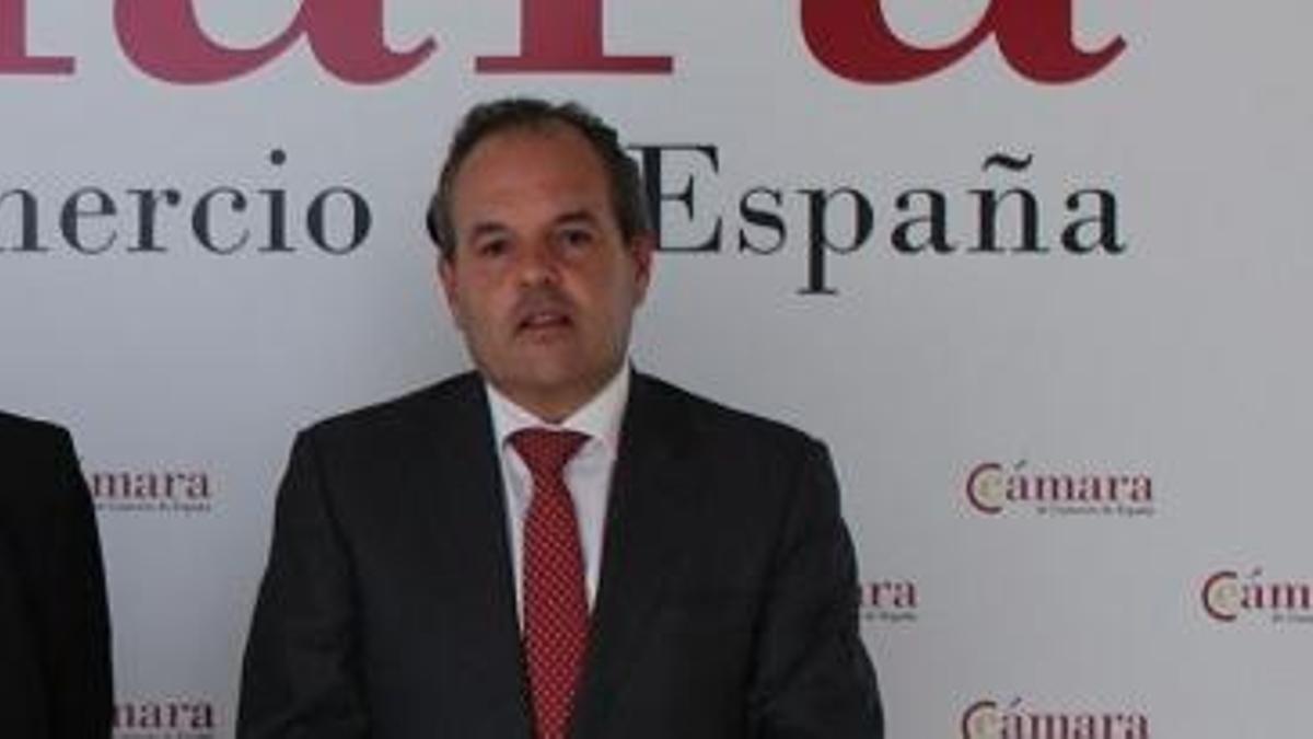 Carlos Baño, presidente de la Cámara de Comercio de Alicante