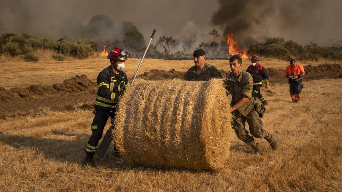Soldados del Ejército y Bomberos trabajan en el nuevo incendio declarado este miércoles en A Gudiña (Ourense).