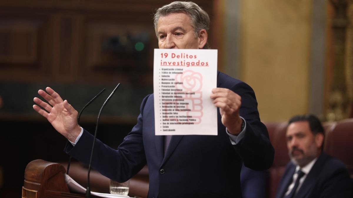 El presidente del PP, Alberto Núñez Feijóo, interviene durante una sesión plenaria en el Congreso de los Diputados