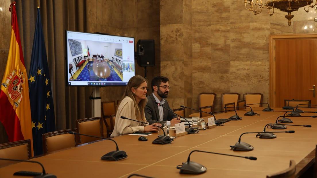 Reunión telemática de la vicepresidenta Sara Aagesen con Maria da Graça Carvalho, ministra de Medio Ambiente y Energía de Portugal.
